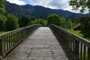 bridge, web, boardwalk
